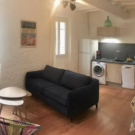 Au Coeur Des Boulevards A 2 Pas Des Chemins De Rando Céret Exterior foto
